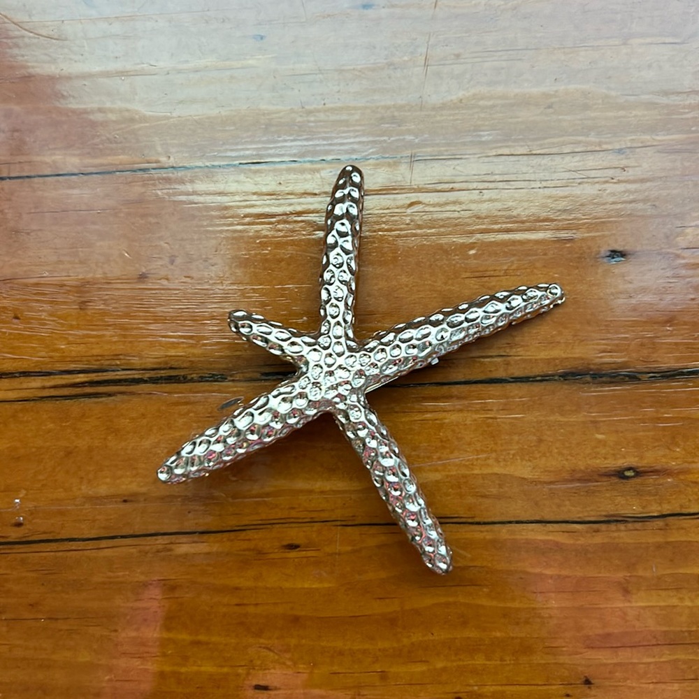 Starfish Hair Clip